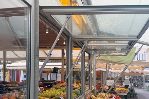 Gasfedern mit Einschubsicherung